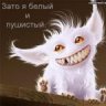 kyzya83